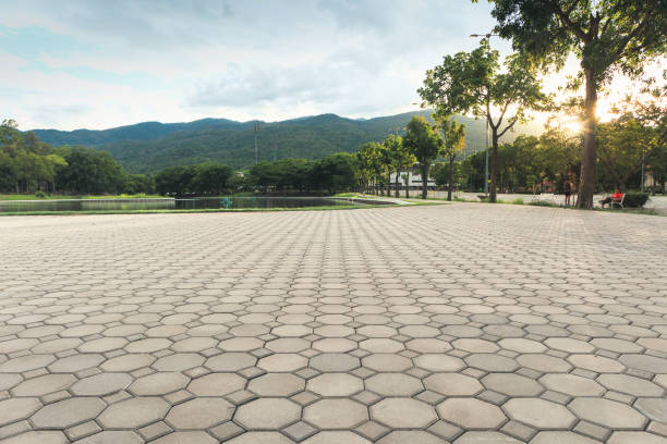Best Driveway Pavers Near Me  in Garrison, TX